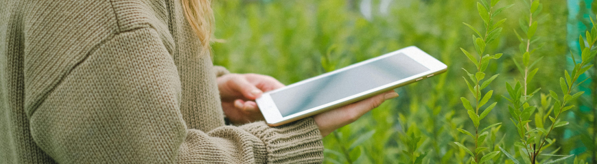 Le filiere italiane hanno un problema che non riguarda la qualità di ciò che producono.