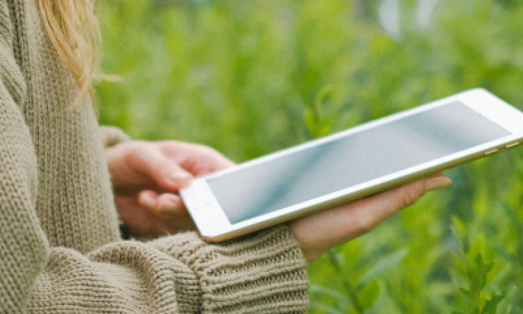 Le filiere italiane hanno un problema che non riguarda la qualità di ciò che producono.